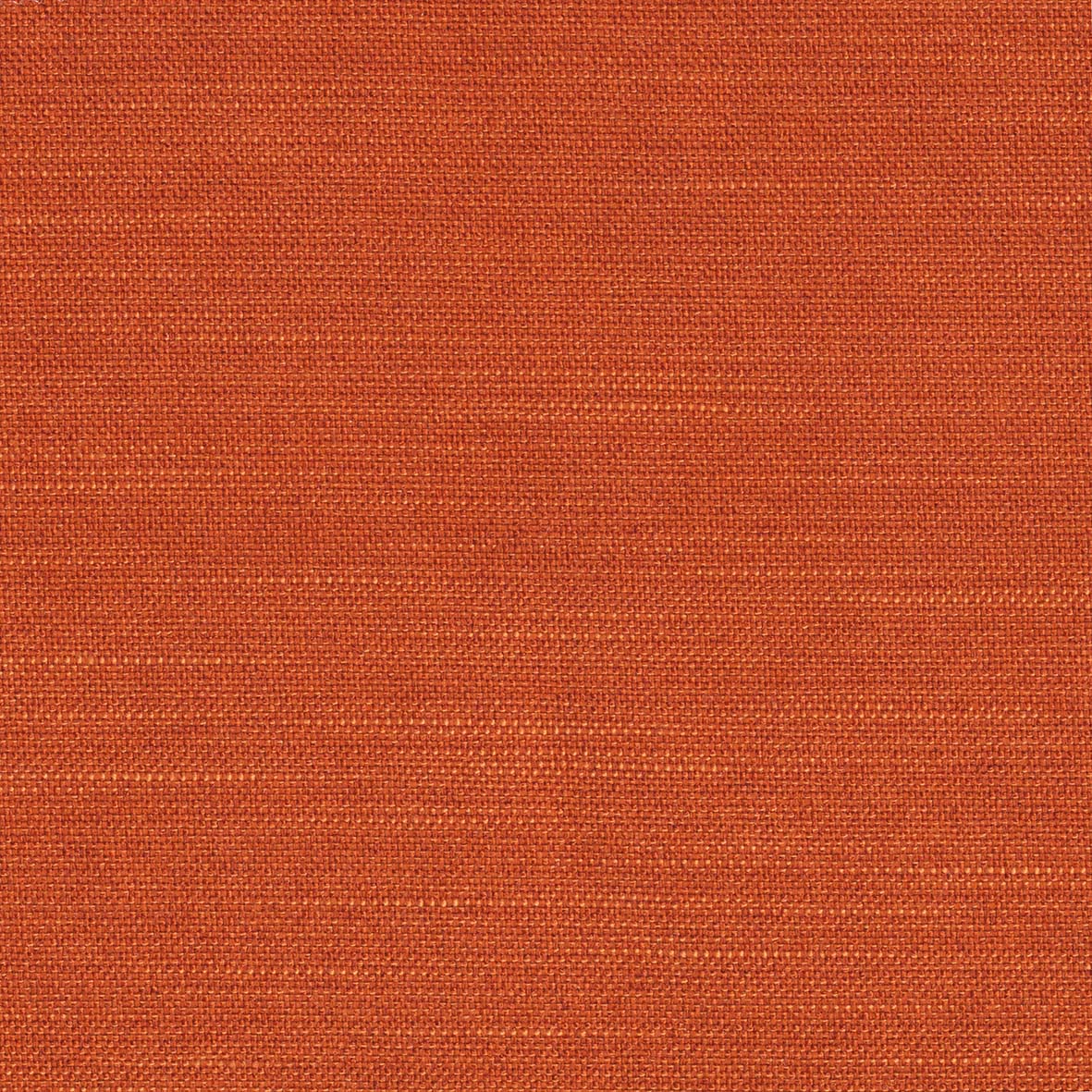 506 Elegance Paprika