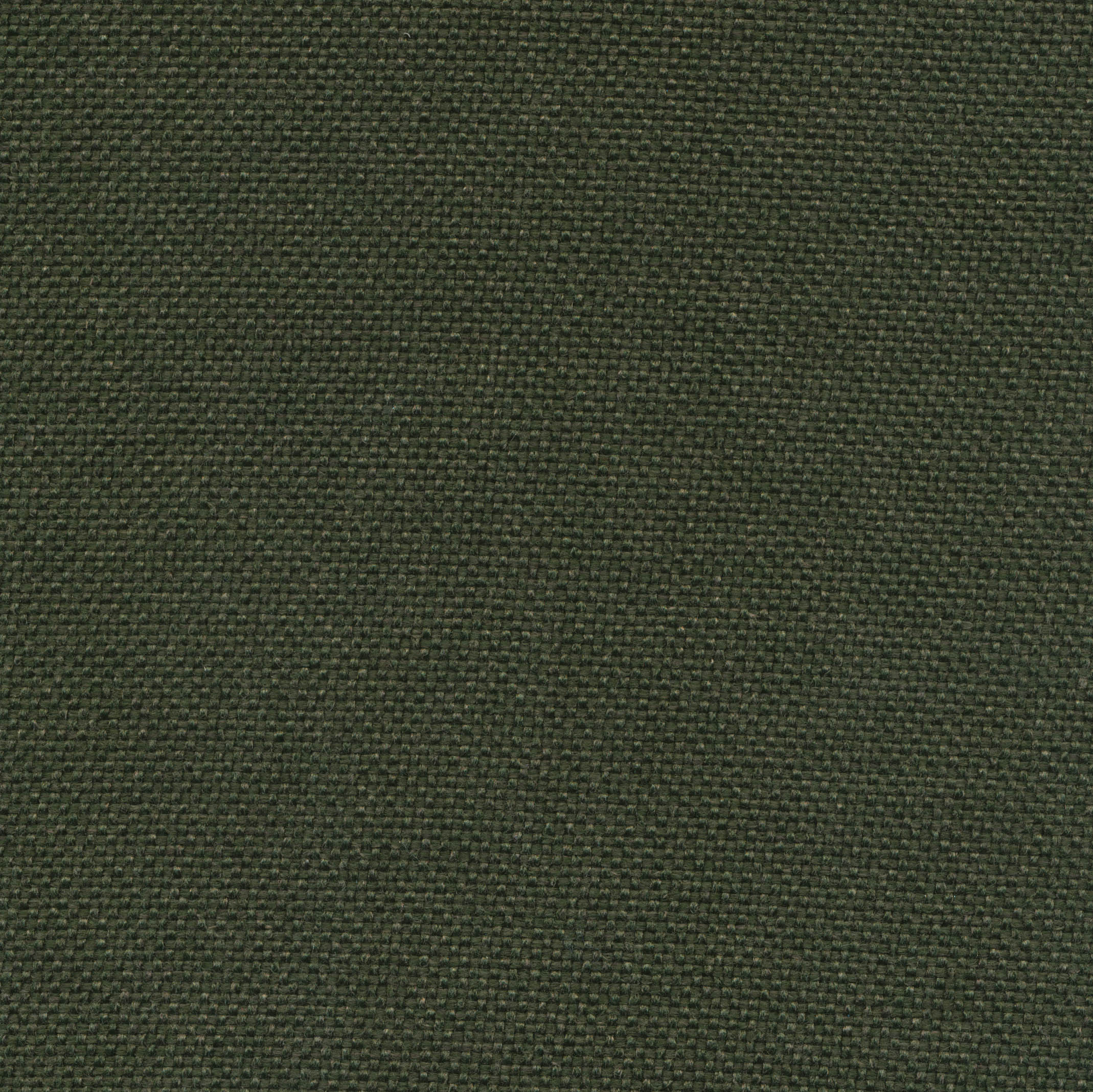 562 Twist Dark Green