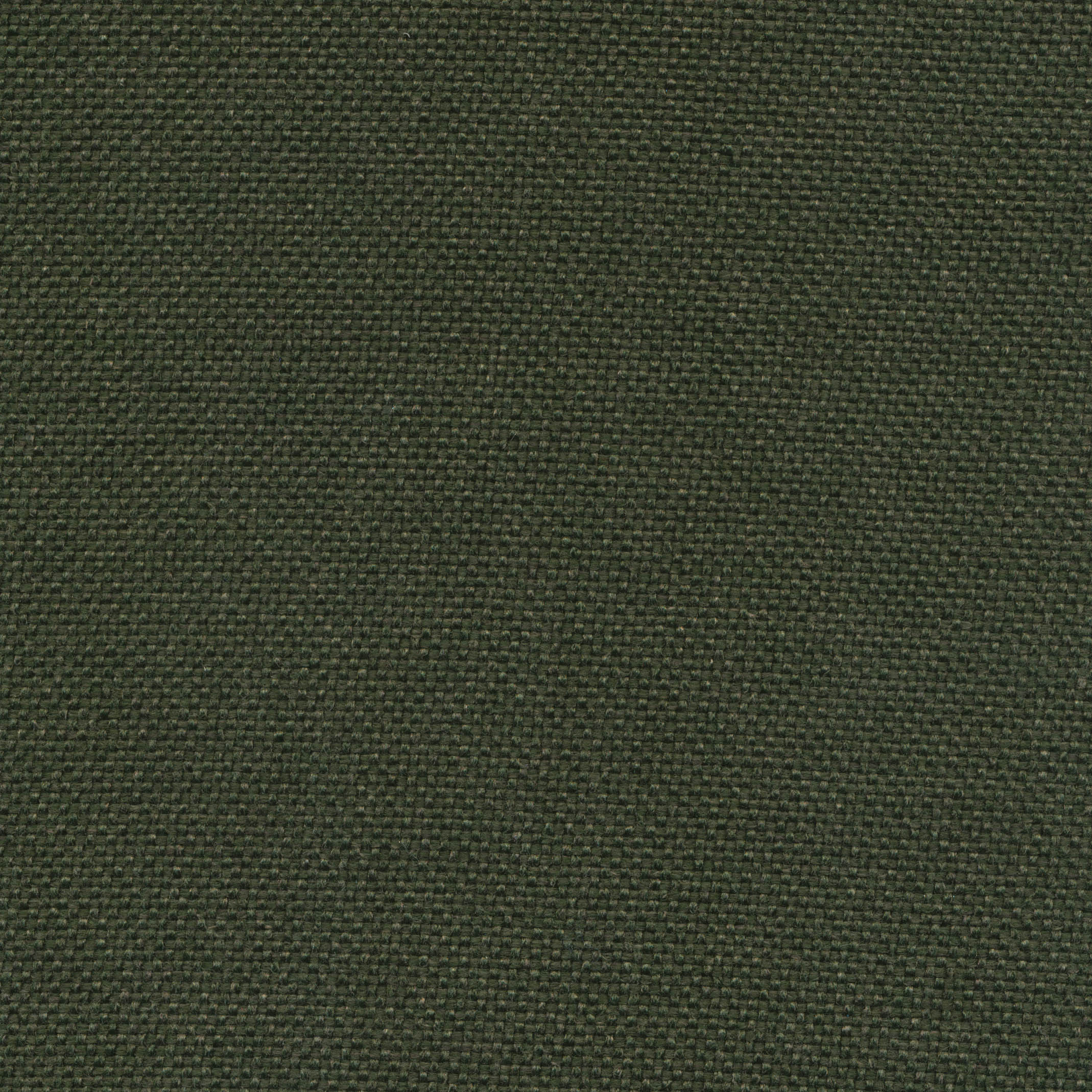 562 Twist Dark Green