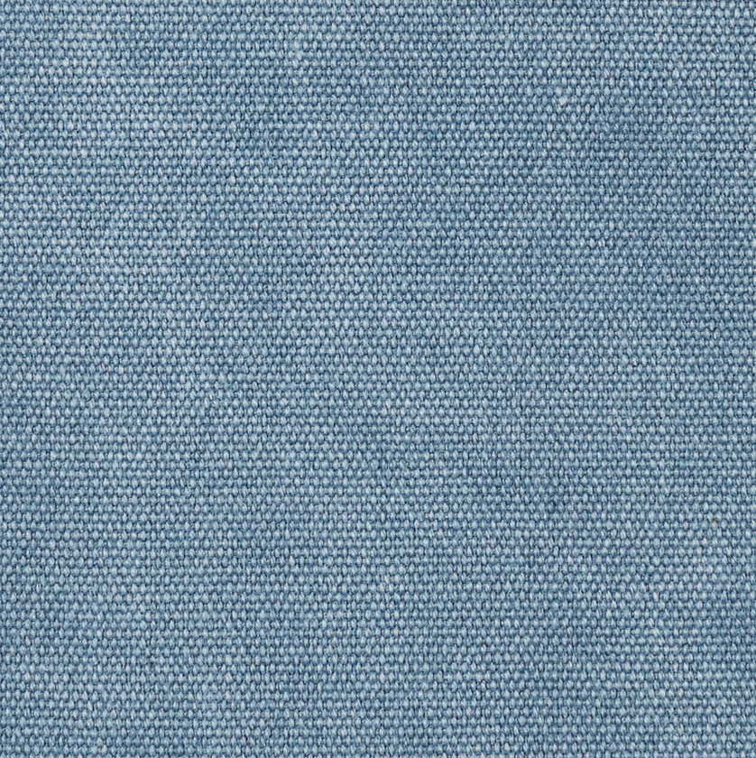 573 Unique Hosta Blue